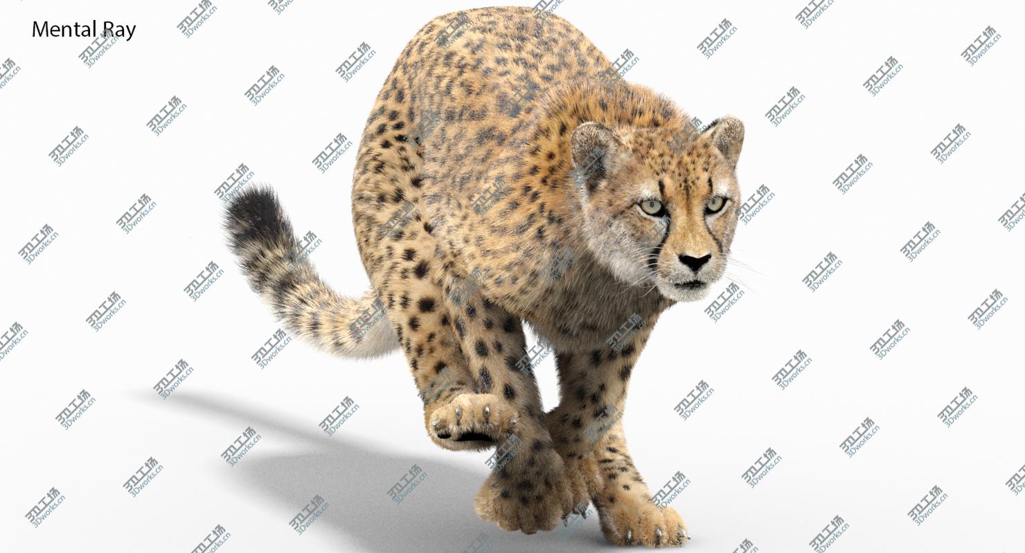 images/goods_img/202104021/3D Cheetah Animated, Fur/3.jpg
